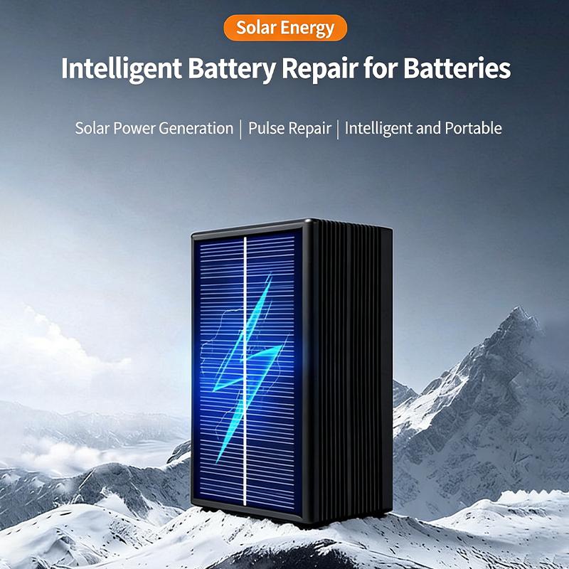 Solarbetriebenes 12V 24V Batte – Solar Powered Charger Bewertung und Preis